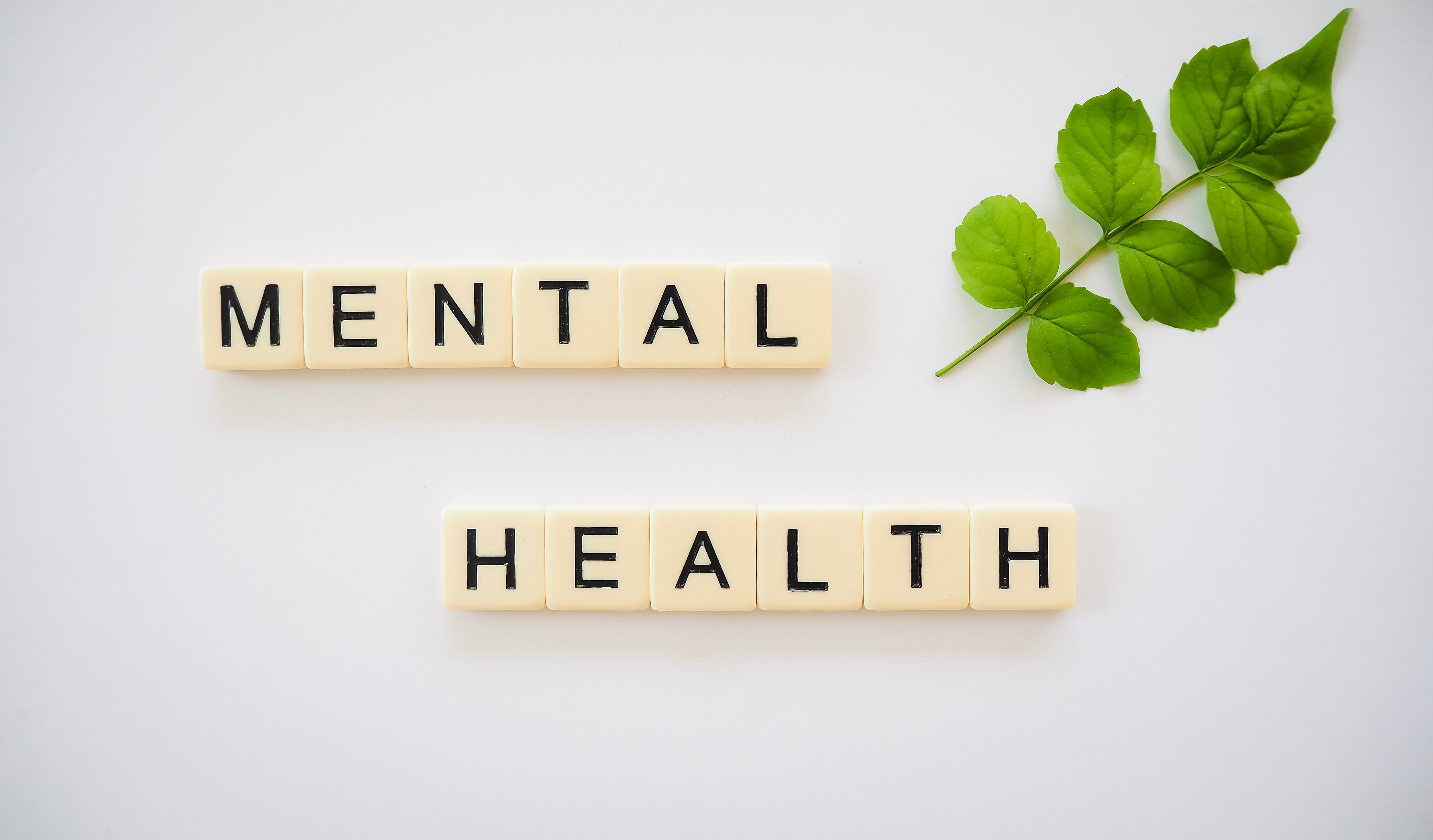 Questions for school governors to consider when developing and maintaining a mentally healthy school